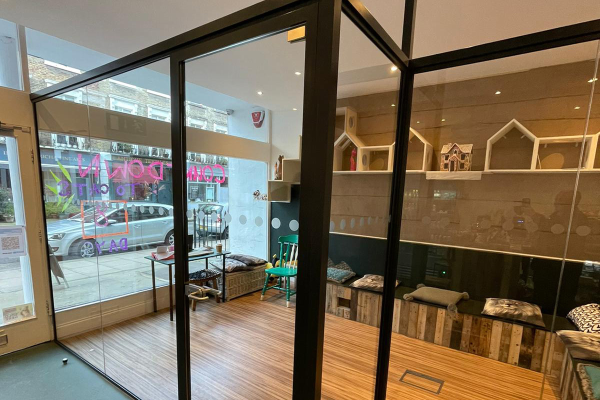 Glass Partitioning | Cat Café